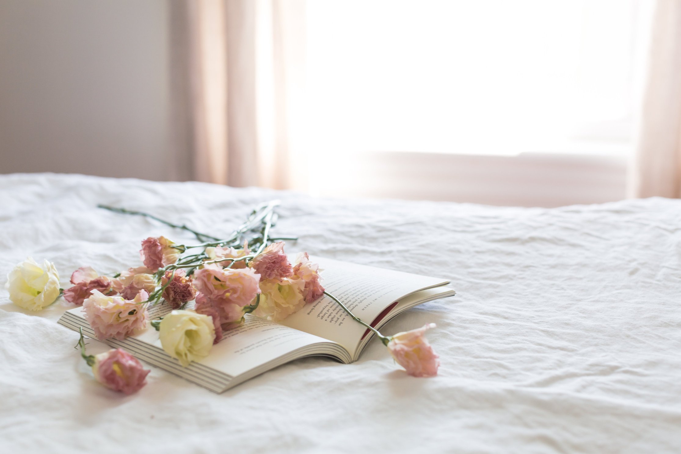 Flowers on Book Near Window